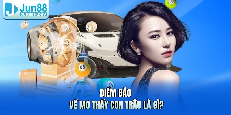 Điểm báo về mơ thấy con trâu là gì? 