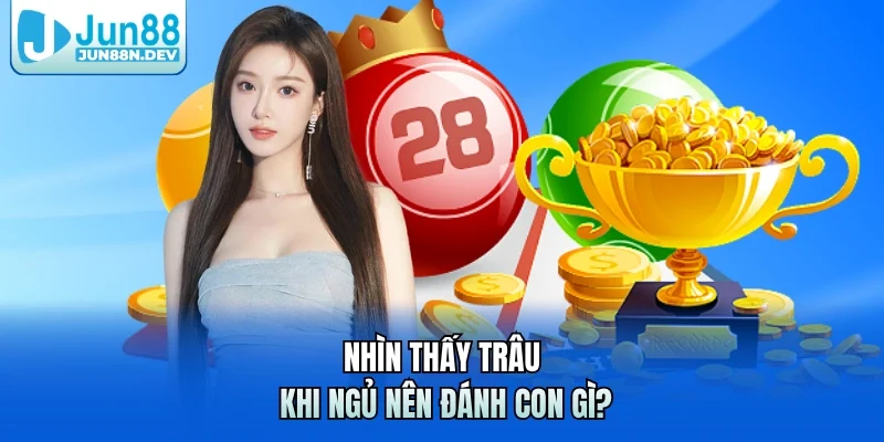 Nhìn thấy trâu khi ngủ nên đánh con gì?
